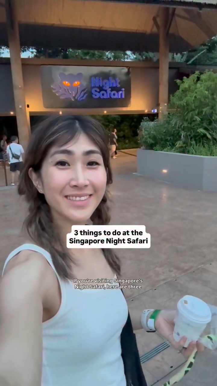 Singapore Night Safari's Nocturnal Animal Experiences
