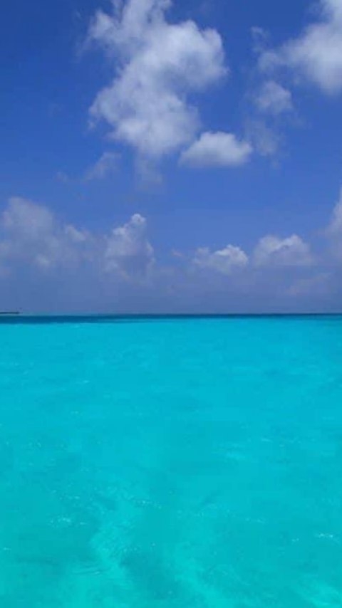 Crystal-Clear Cozumel Sandbar With Visible Starfish