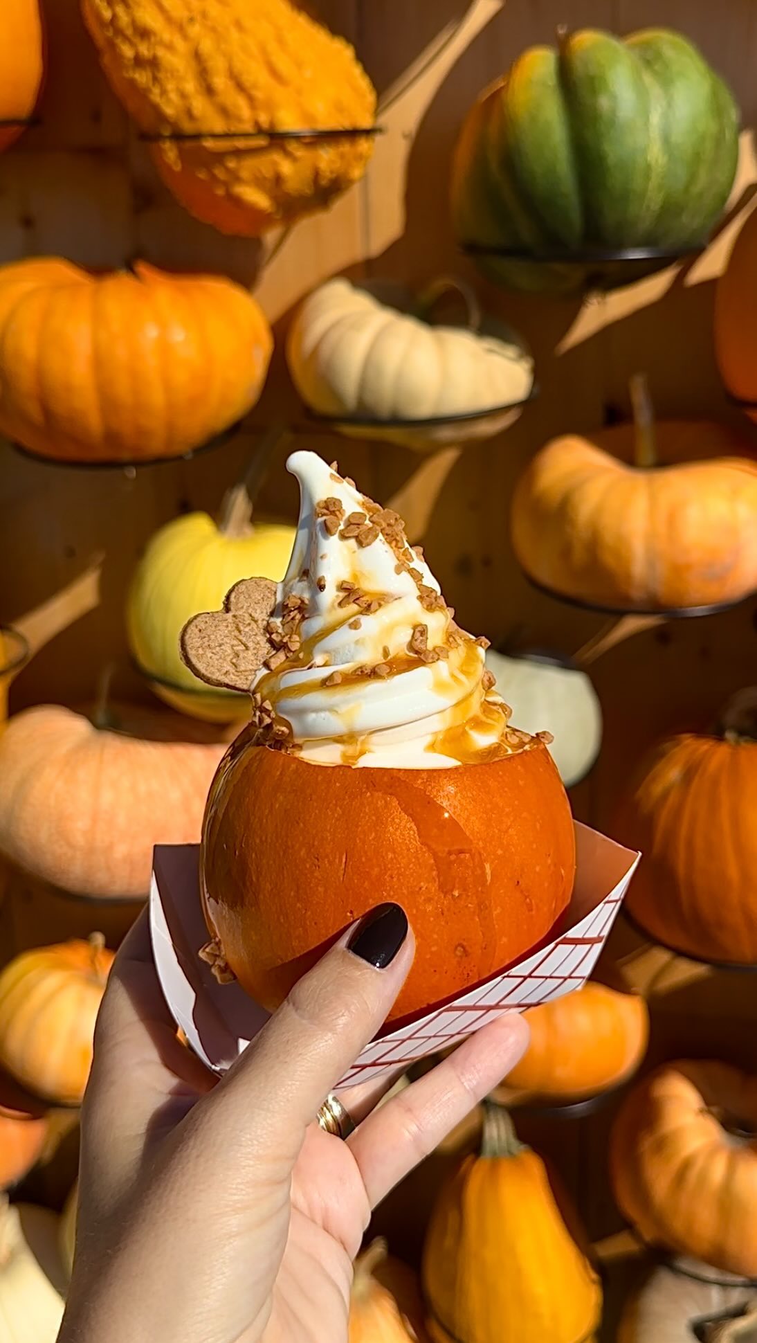 Laura's Farm Stand Fall Extravaganza
