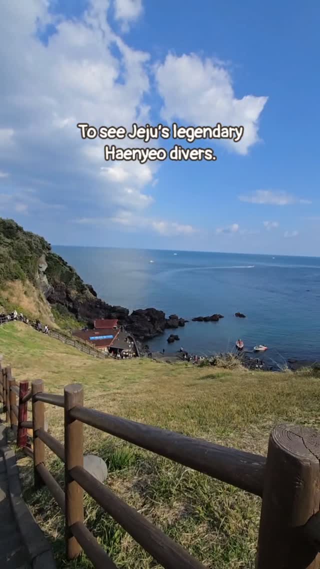Seongsan Ilchulbong Coastal Views And Jeju Delights