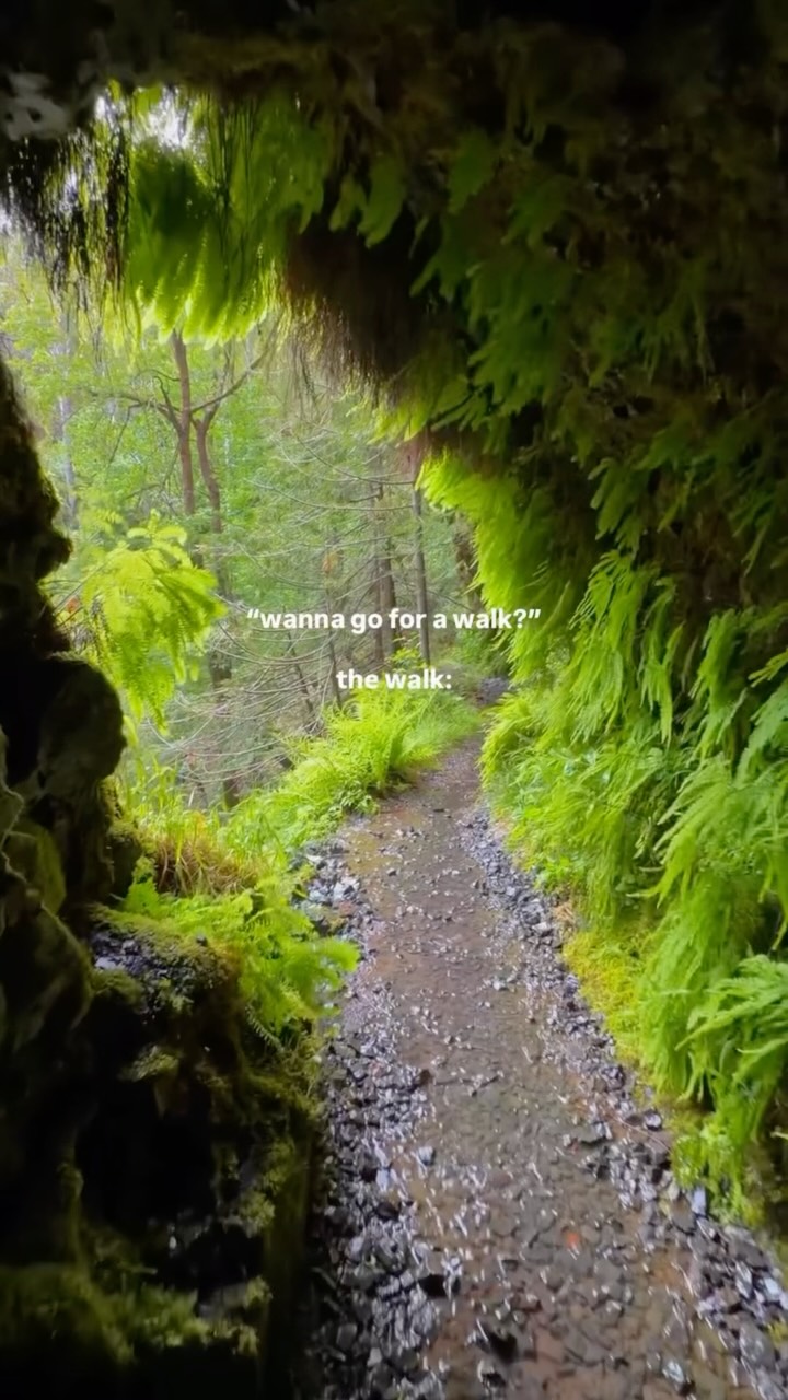 Oregon Waterfall Hikes Through Columbia River Gorge