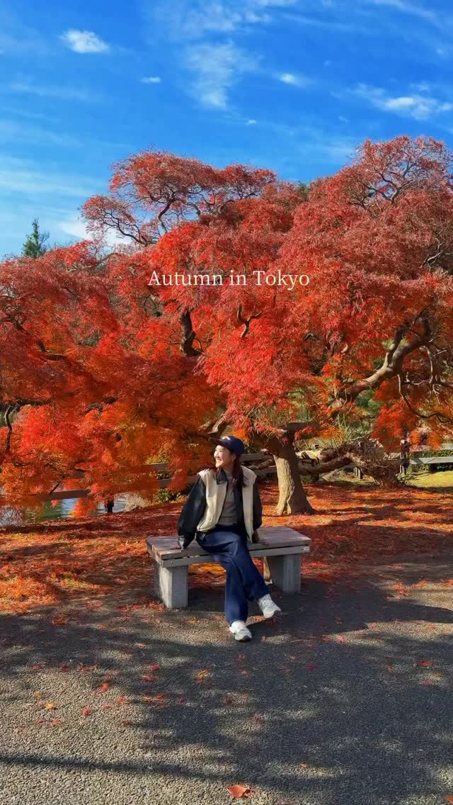 Tokyo's Autumn Colors in Parks and Gardens