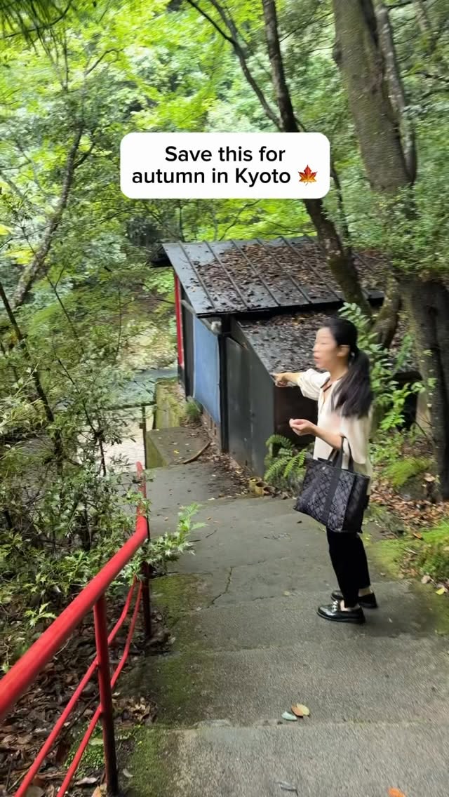Riverside Retreats With Traditional Japanese Cuisine
