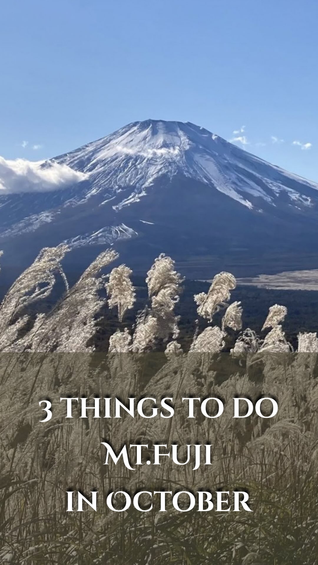 Fuji's Autumn Wonders: Pampas Grass, Waterfalls, and Museums