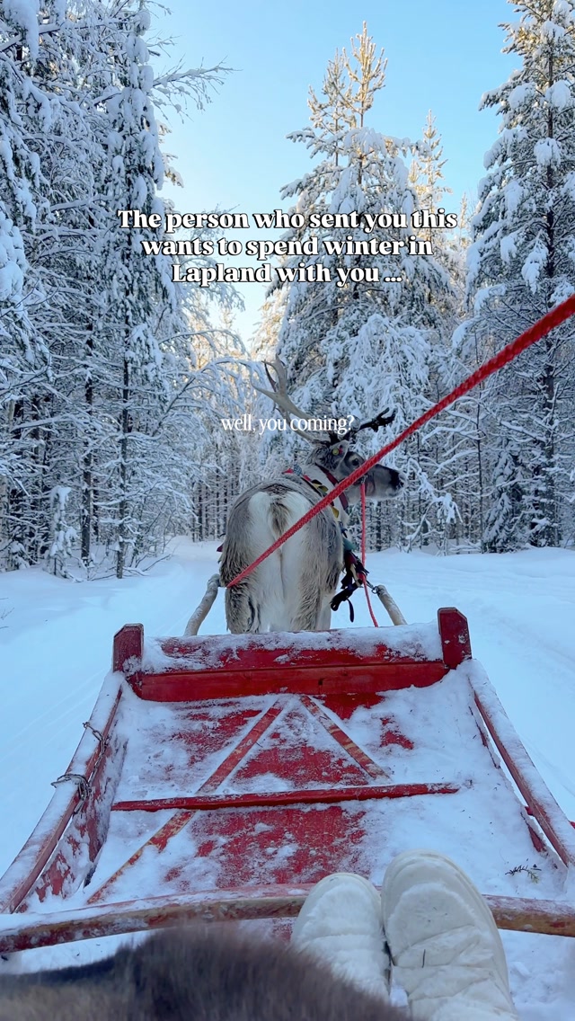 Lapland Winter Wonders: Igloos, Safaris, and National Parks