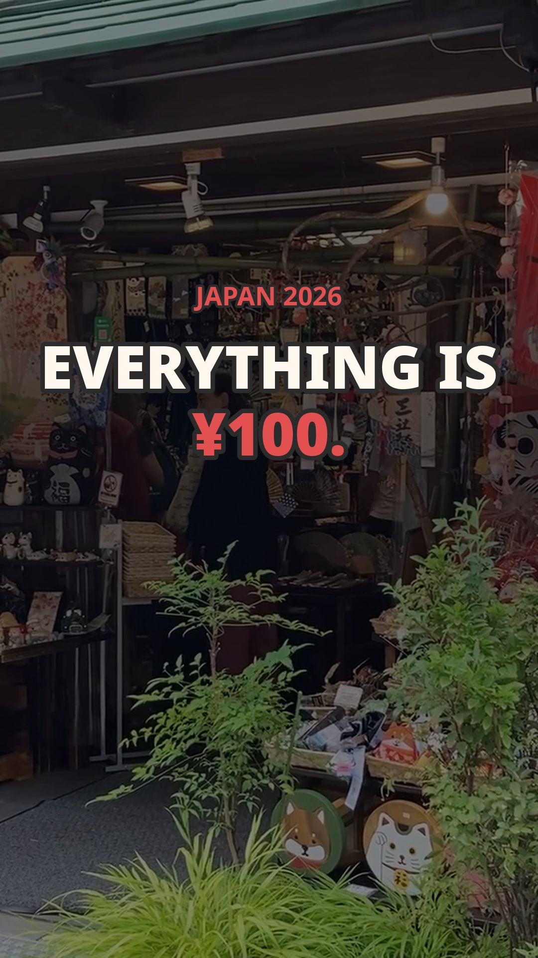 Japanese ¥100 Shops for Practical Trip Finds
