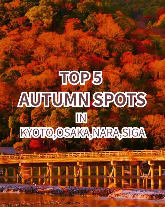 Autumn Foliage Spots Near Kyoto and Osaka