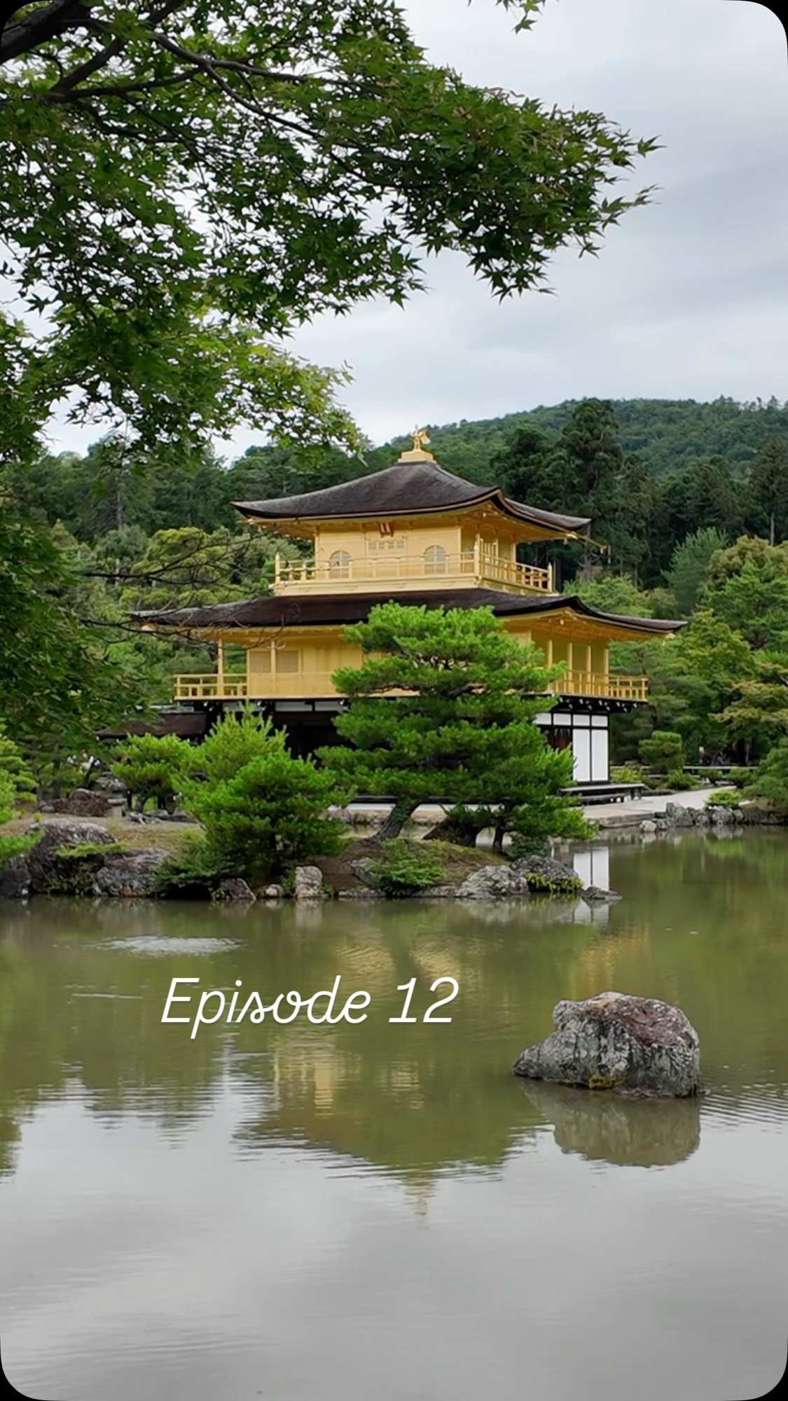 Kyoto's Popular Landmarks and Eateries