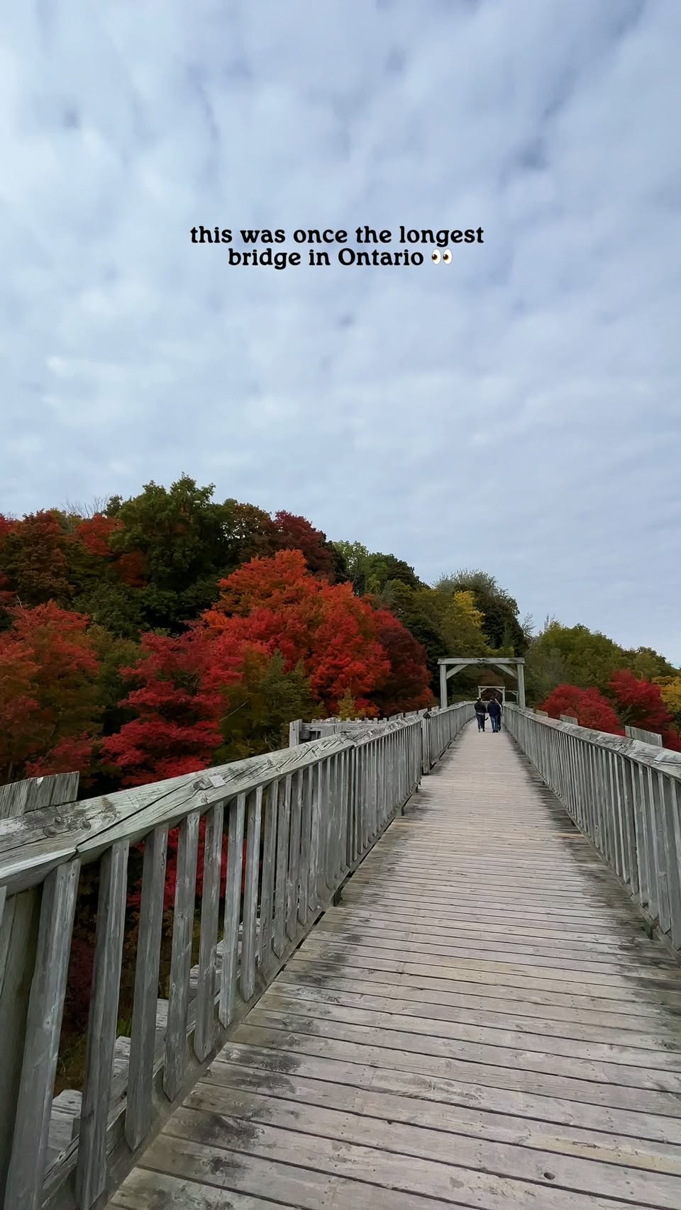 Menesetung Bridge: A Scenic Ontario Walk