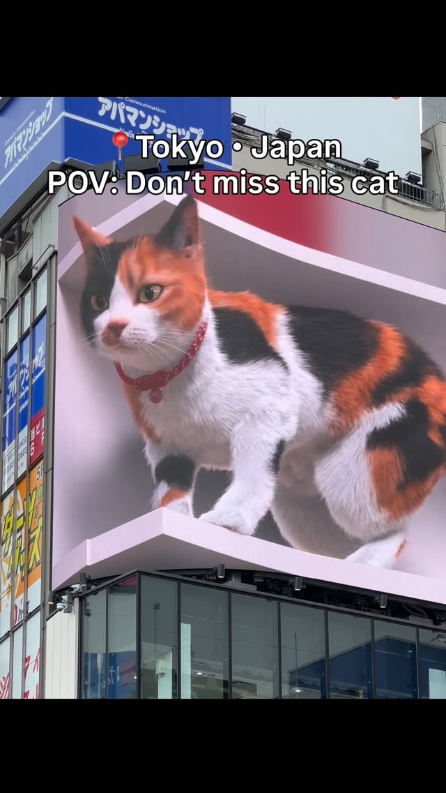 Tokyo's Giant 3D Cat Billboard