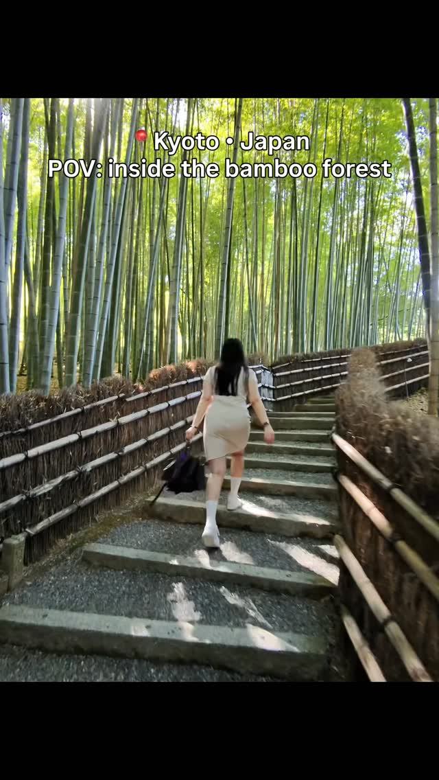 Kyoto Bamboo Forests Offer Quiet Escape