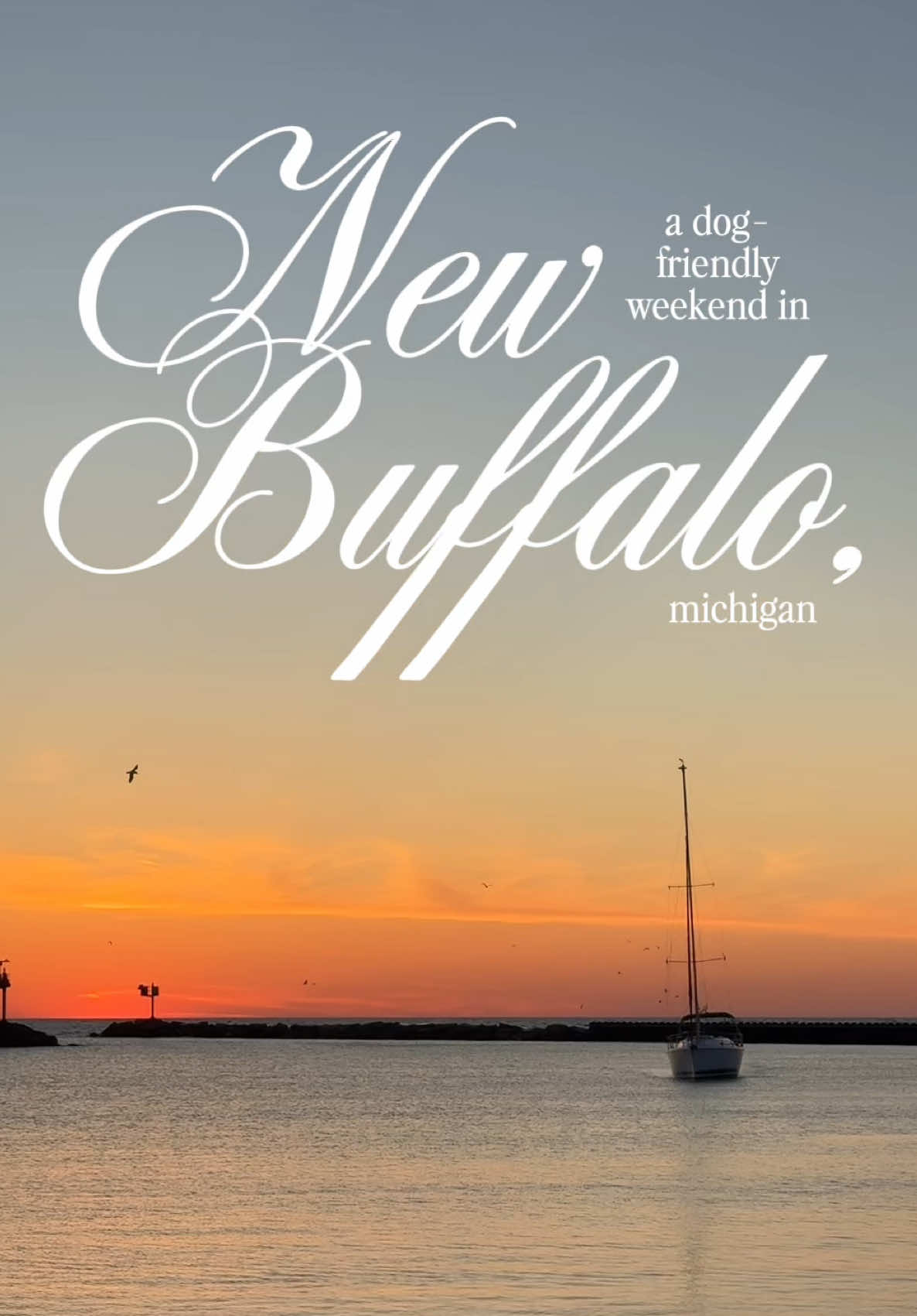New Buffalo Dog-Friendly Weekend Trip