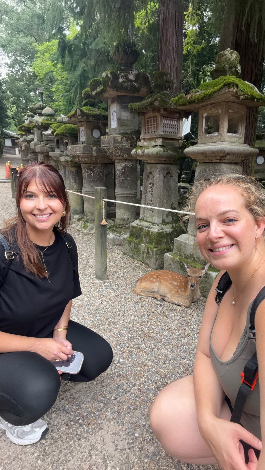 Nara Day Trip: Temples, Deer, Gardens, and Food