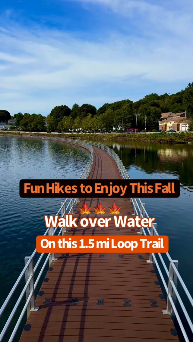 Lake Williams Boardwalk Trails
