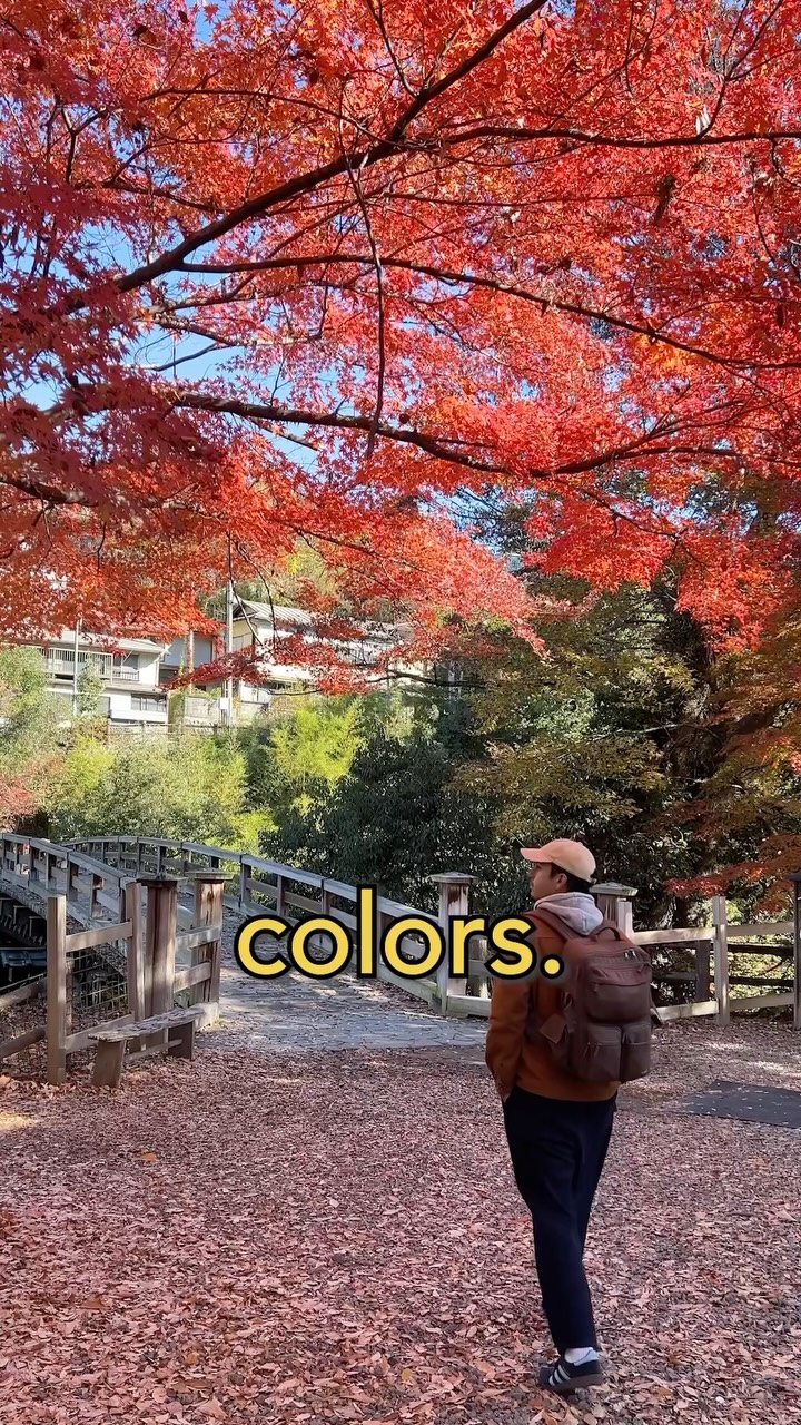 Fall Color Views of Mt. Fuji From Yamanashi