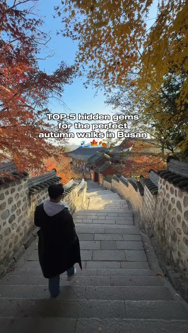 Busan's Top Autumn Walks: Parks, Temple, and Beach