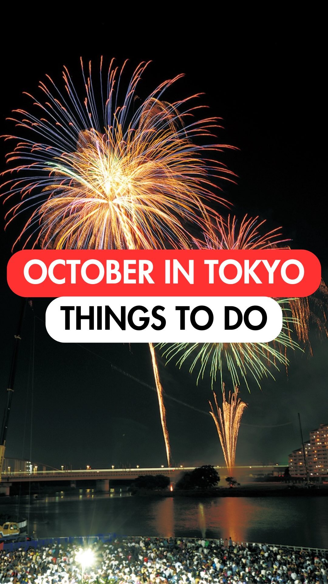 Tokyo's Top October Attractions
