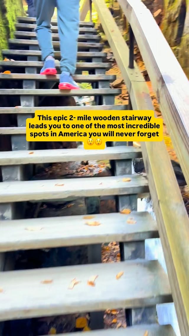 Franconia Notch State Park's Flume Gorge Adventures