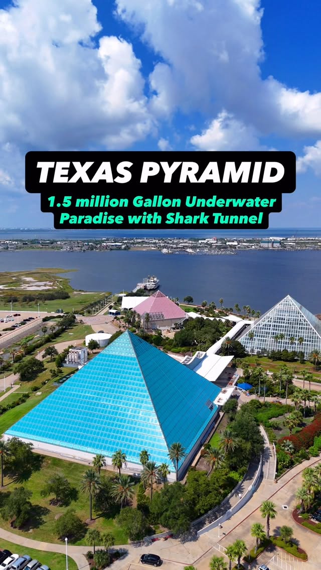 Moody Gardens Aquarium And Rainforest Pyramids
