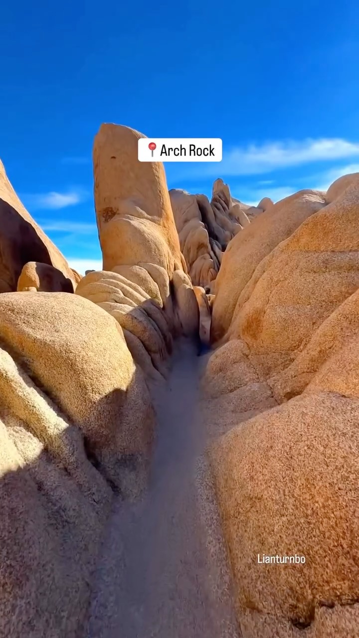 Joshua Tree's Top Nature Trails and Scenic Views