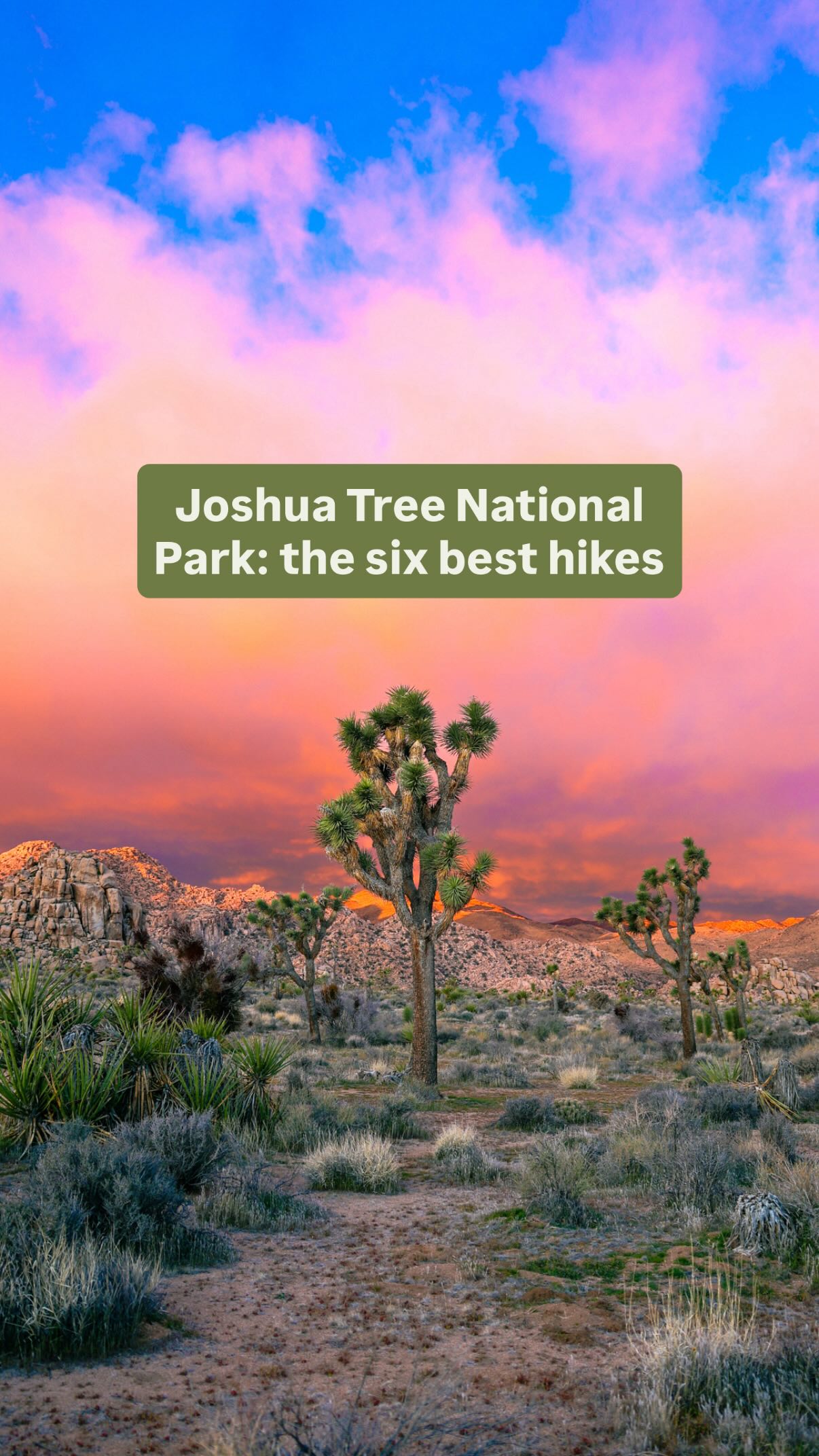 Joshua Tree National Park's Diverse Hiking Trails