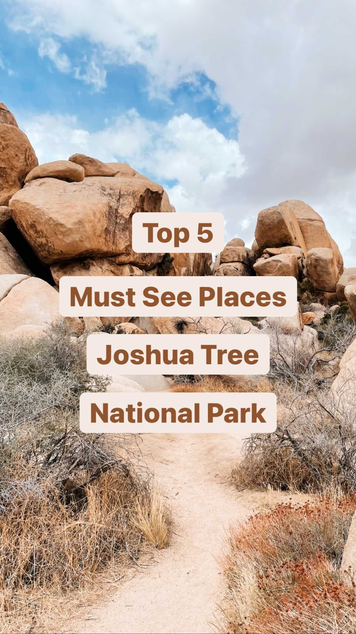 Joshua Tree National Park's Natural Wonders