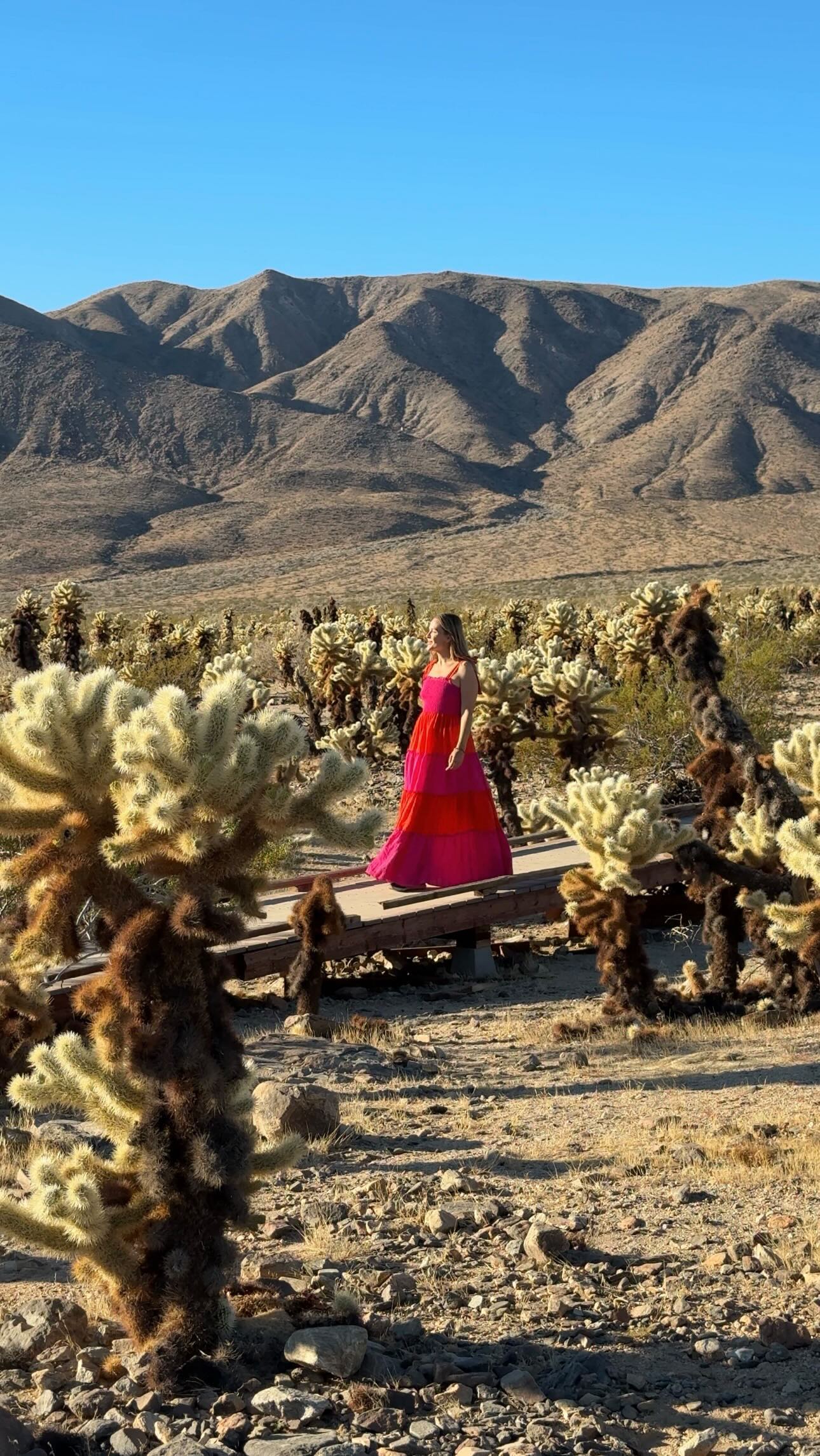 Joshua Tree National Park's Accessible Natural Wonders