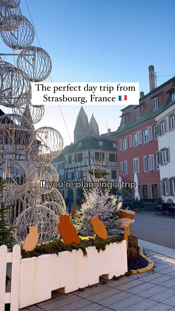 Charming Alsatian Town with Half-Timbered Houses