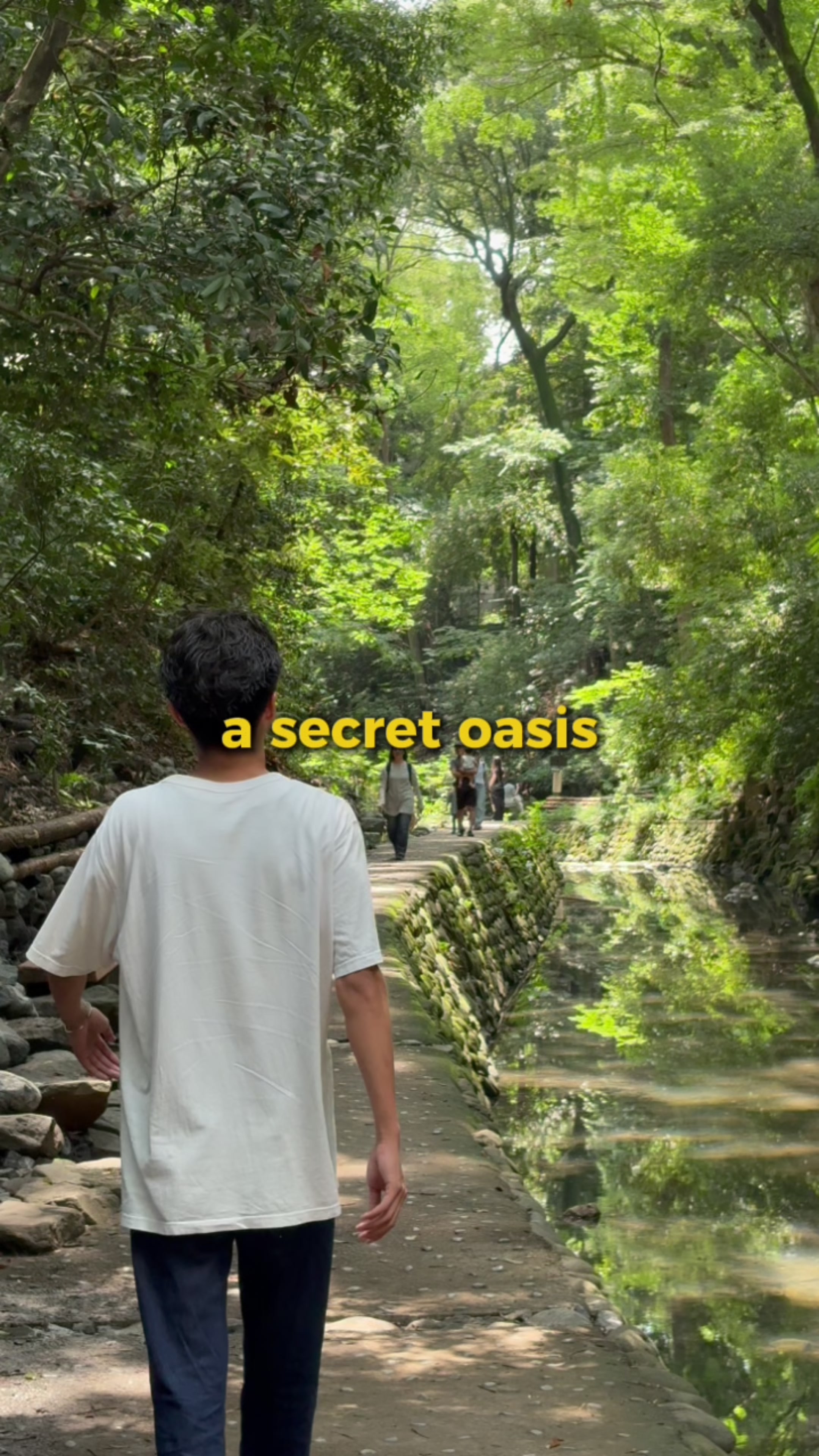 Tokyo's Hidden Valley and Station Oasis