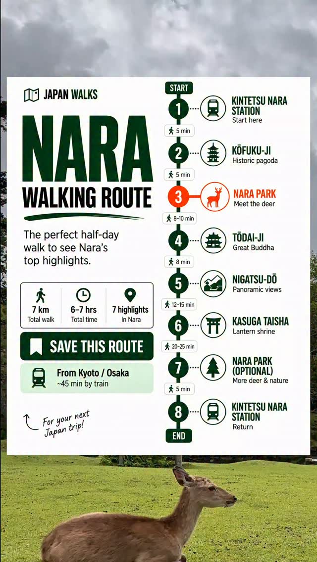 Nara's Top Attractions And Walking Route