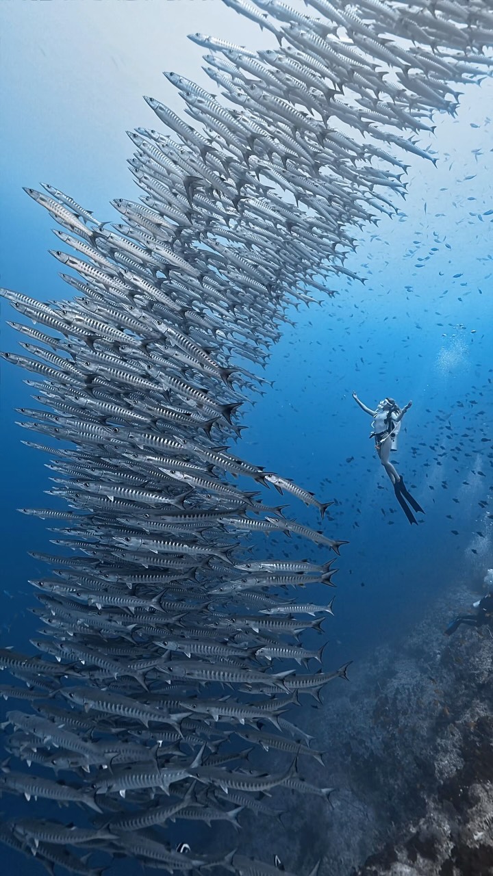 Island Dive Sites for Unforgettable Experiences