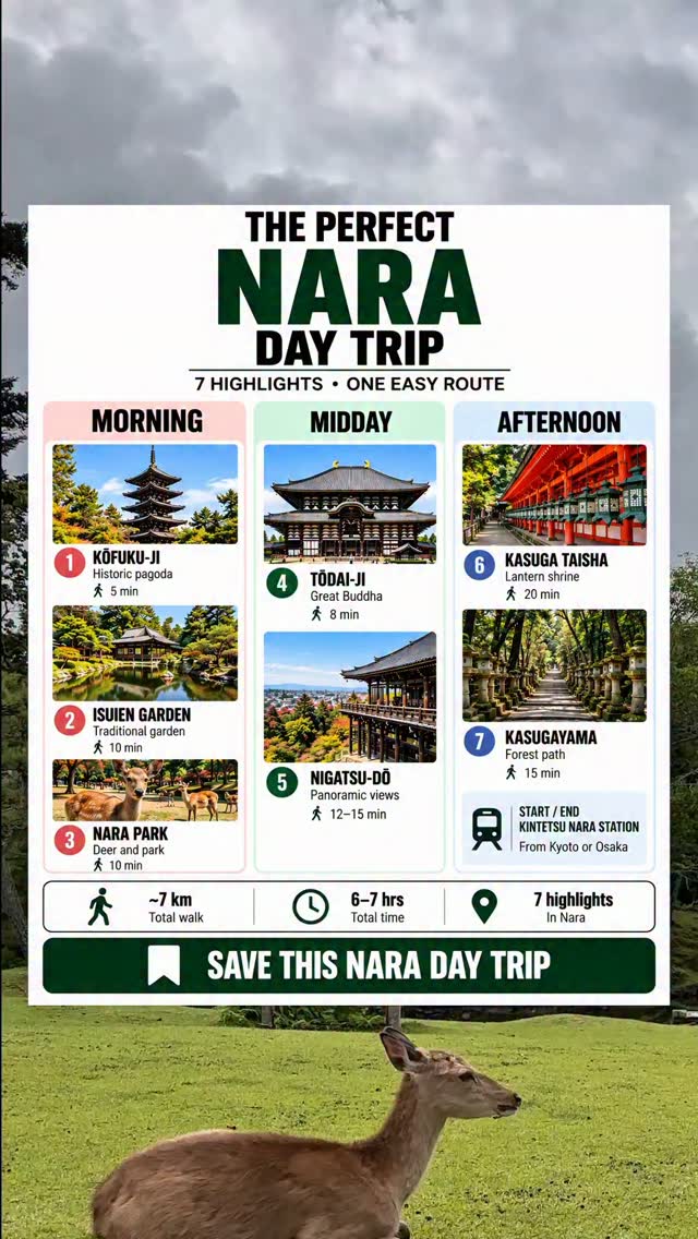 Nara's Must-See Temples and Park Highlights