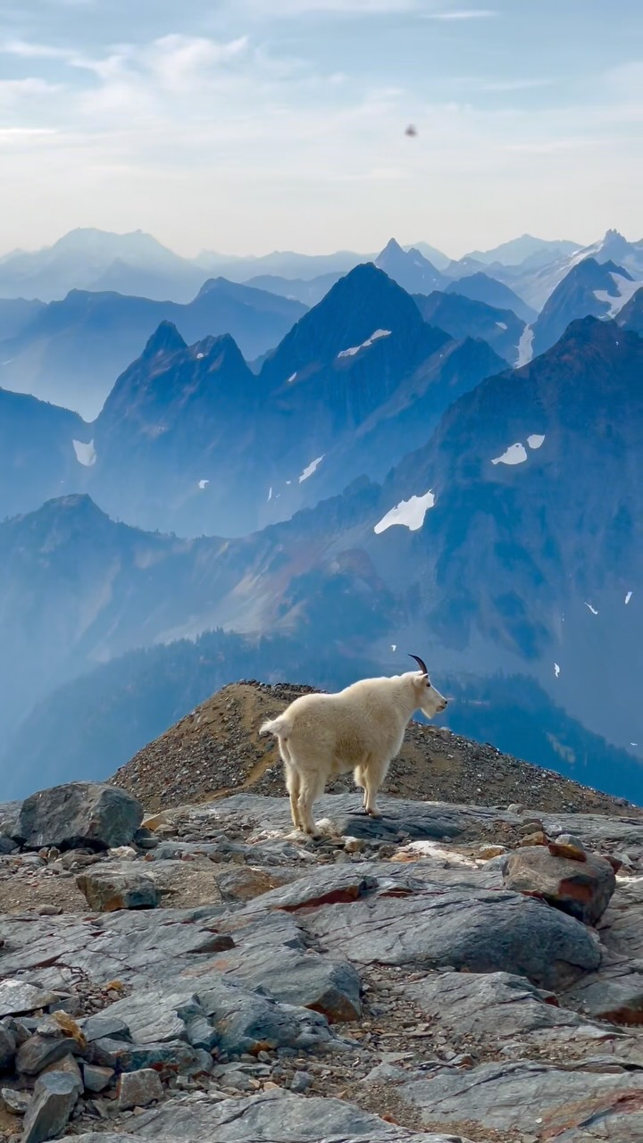 North Cascades National Park: Sahale Glacier Camping