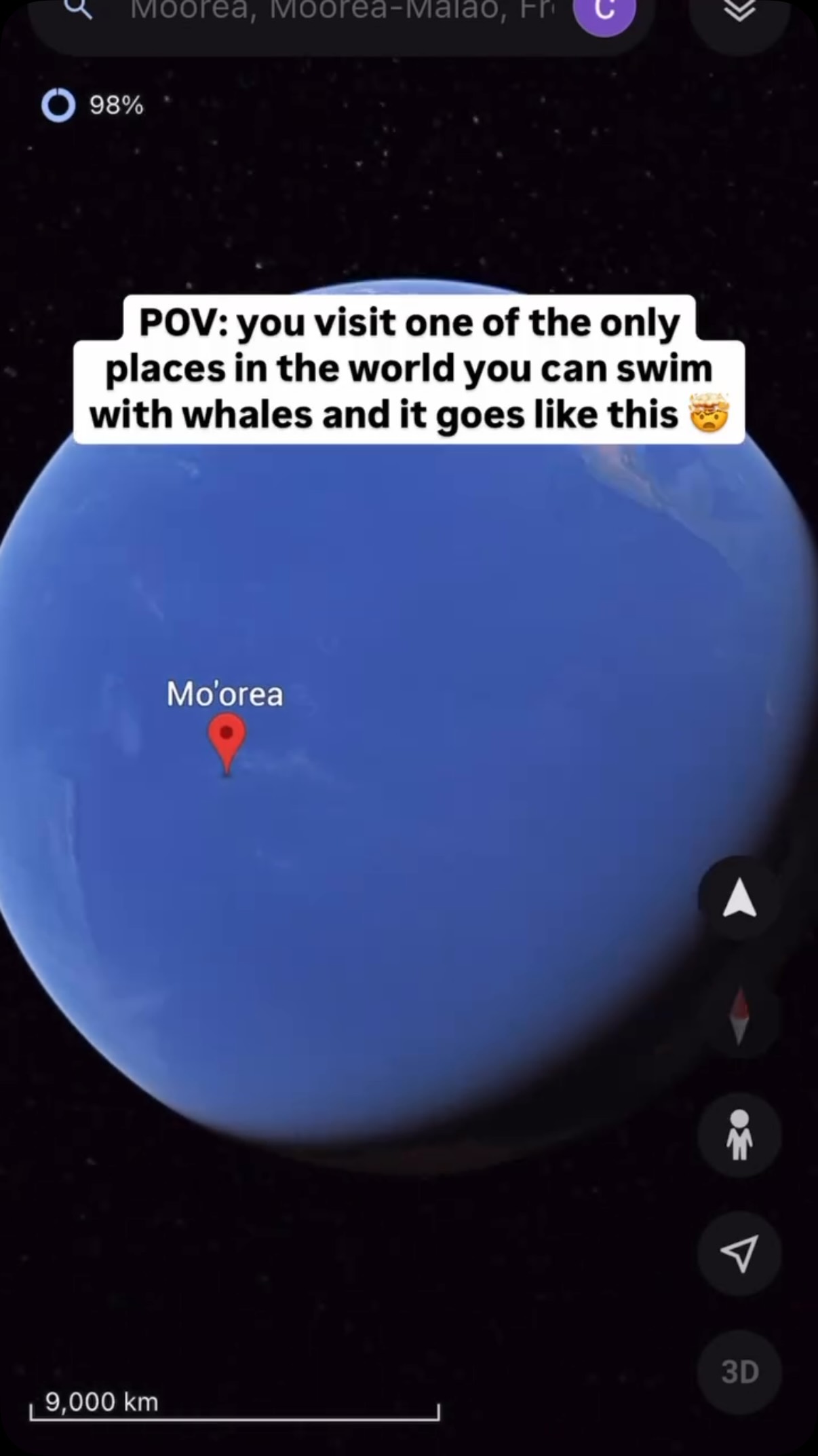 Moorea Whale Encounters: Swim With Humpback Calves