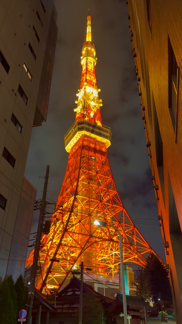 Iconic Tokyo Tower Landmark