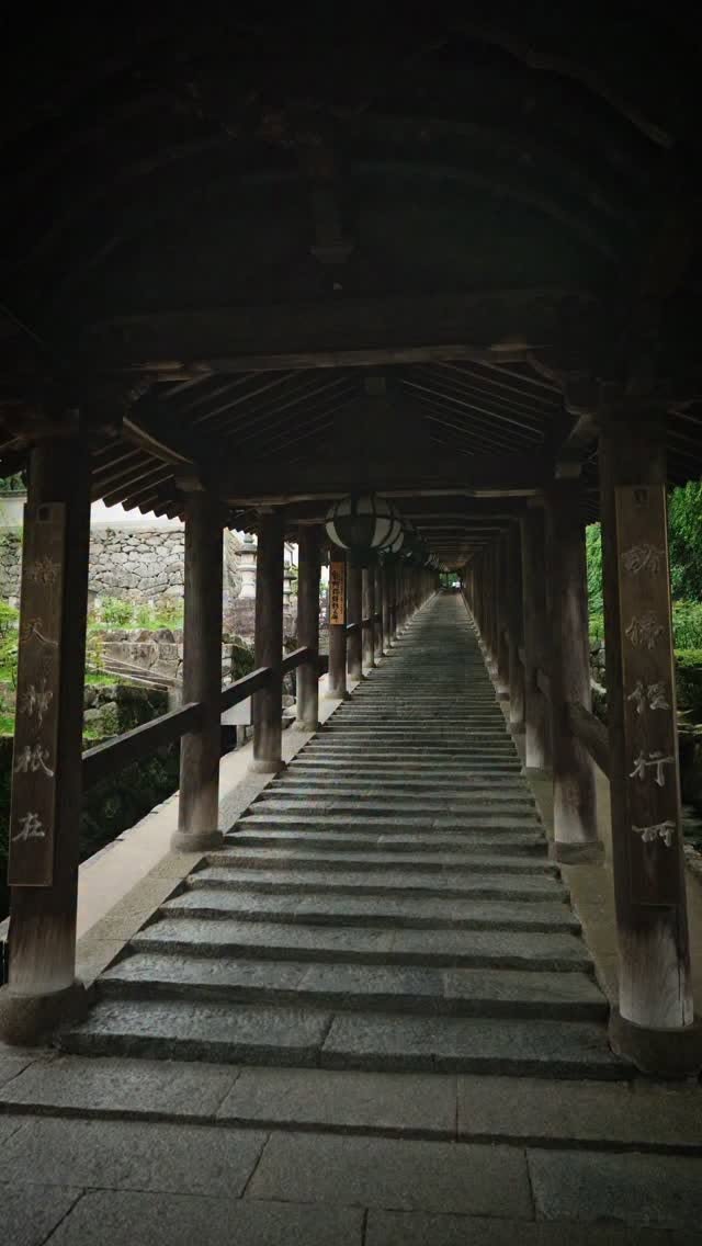 Hasedera Temple's Golden Buddha and Hydrangeas