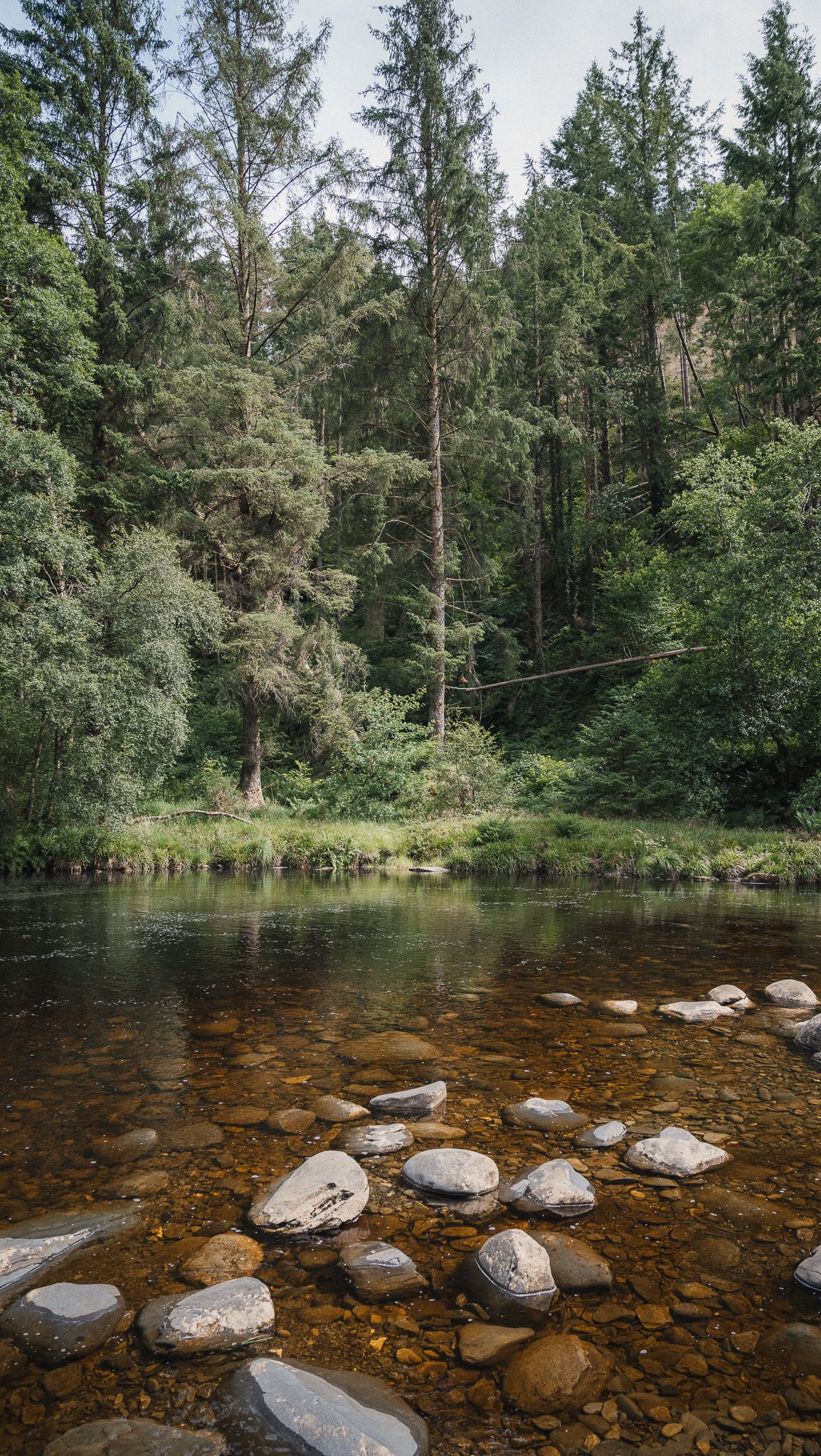 Hafod Estate Hike and River Ystwyth Adventure