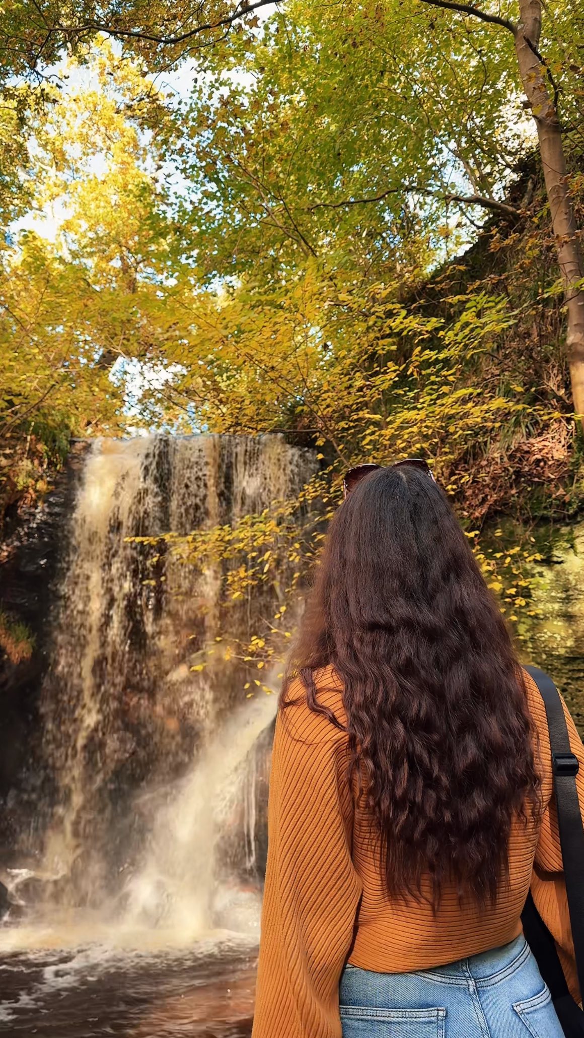 Northumberland's Castles, Forests, and Coastal Wonders