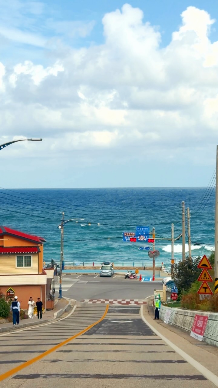 East Sea Drive Spots With Forest Trails