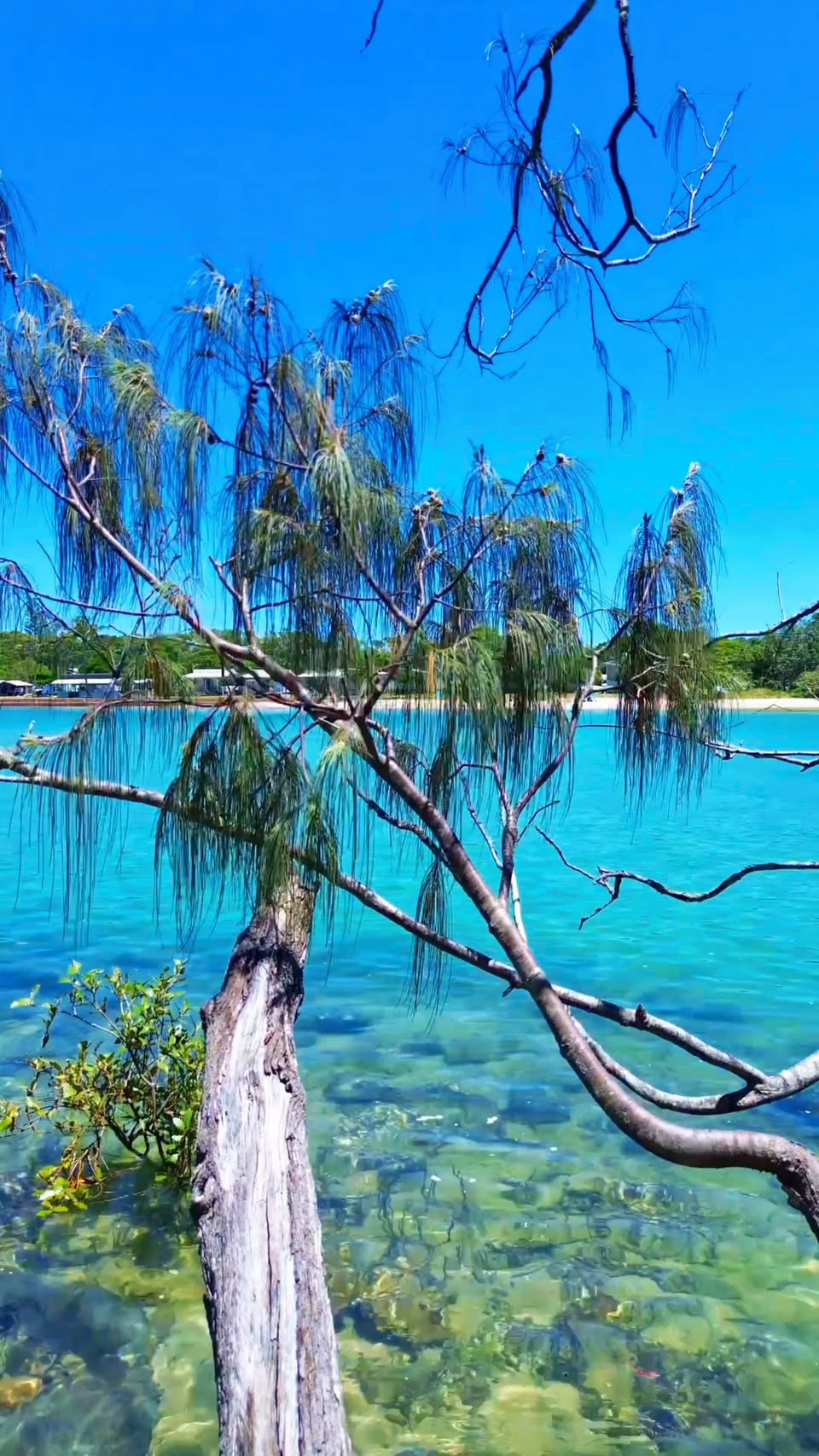 Tweed Region's Coastal Gems Named Top Destinations
