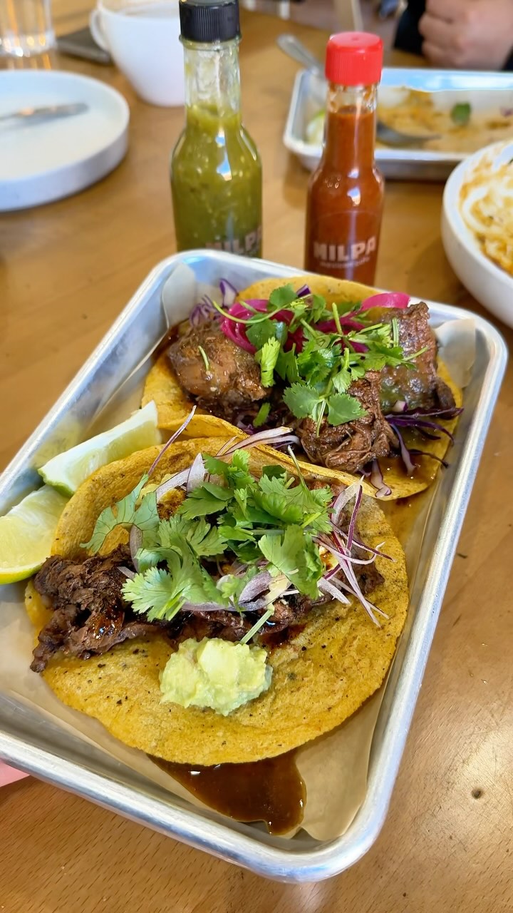 Milpa Cafe Features Tacos and Fresh Tortillas