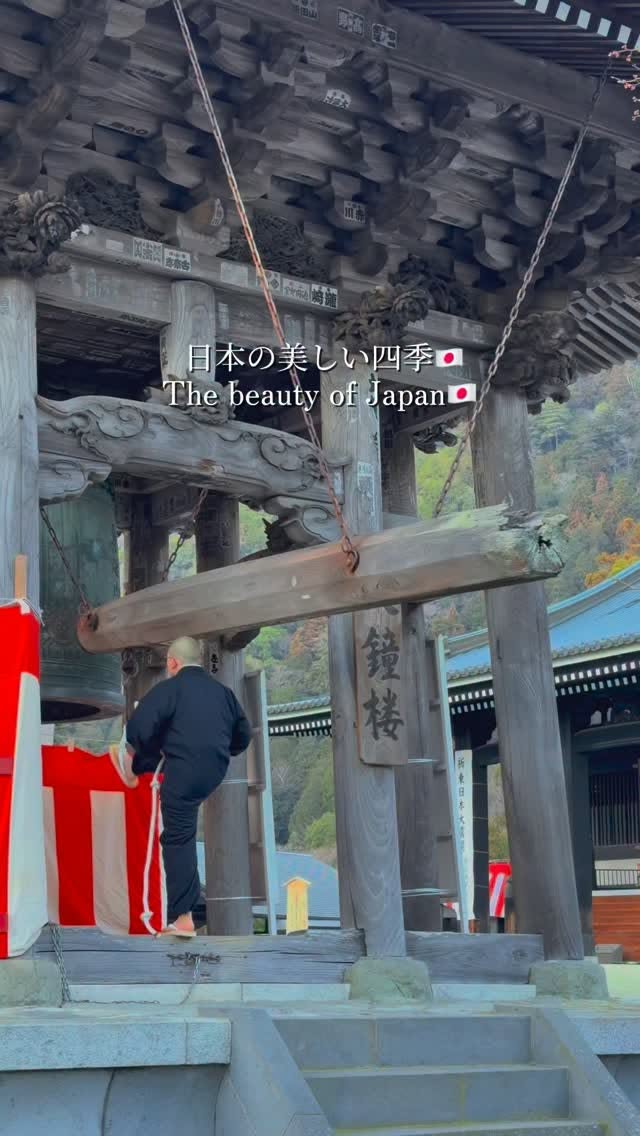 Japan's Seasonal Beauty Across Temples and Parks