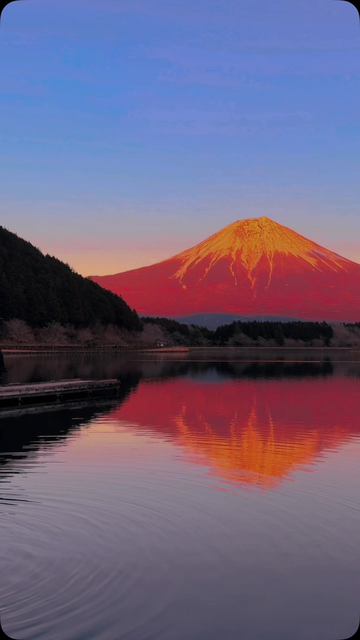 Mount Fuji's Majestic Presence