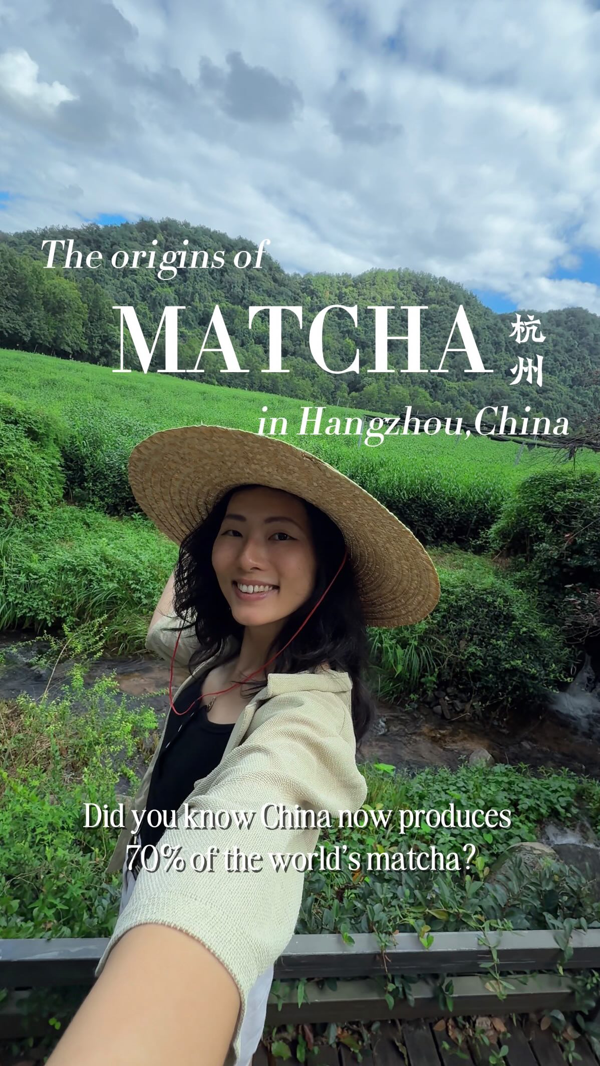 Hangzhou's Matcha Production and Cultural Roots