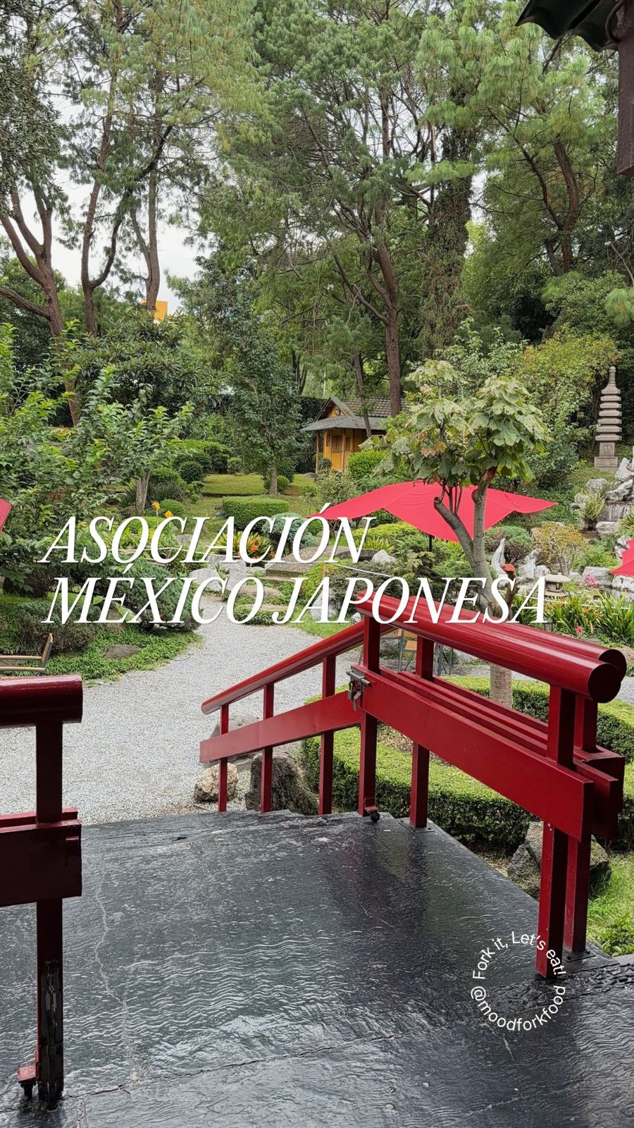 Japanese Mexican Association's Tranquil Garden