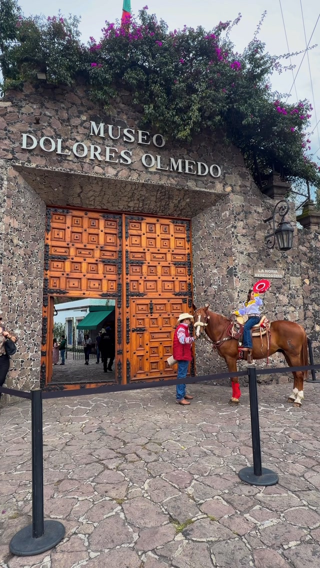 Frida Kahlo Art Collection At Dolores Olmedo Museum
