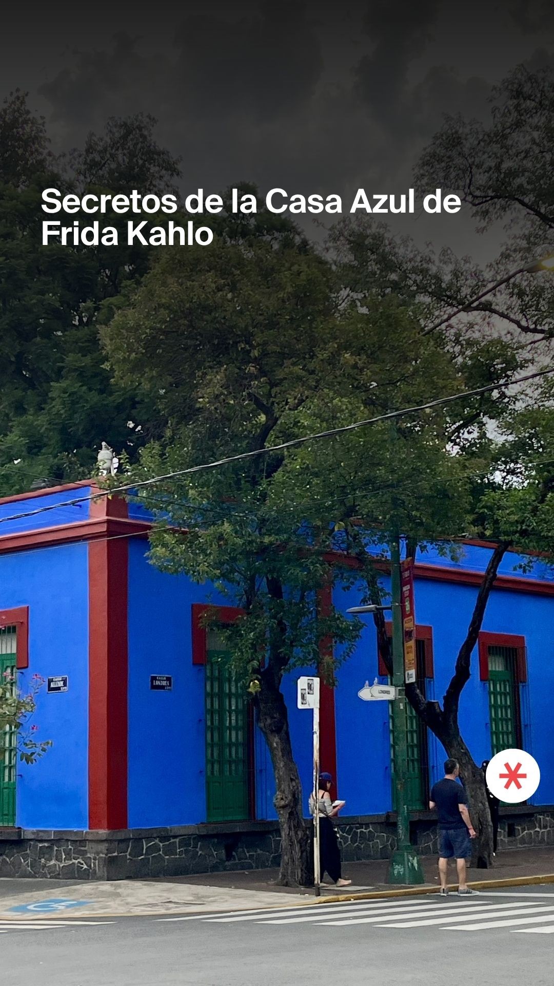 Frida Kahlo Museum: A Look Inside Her World