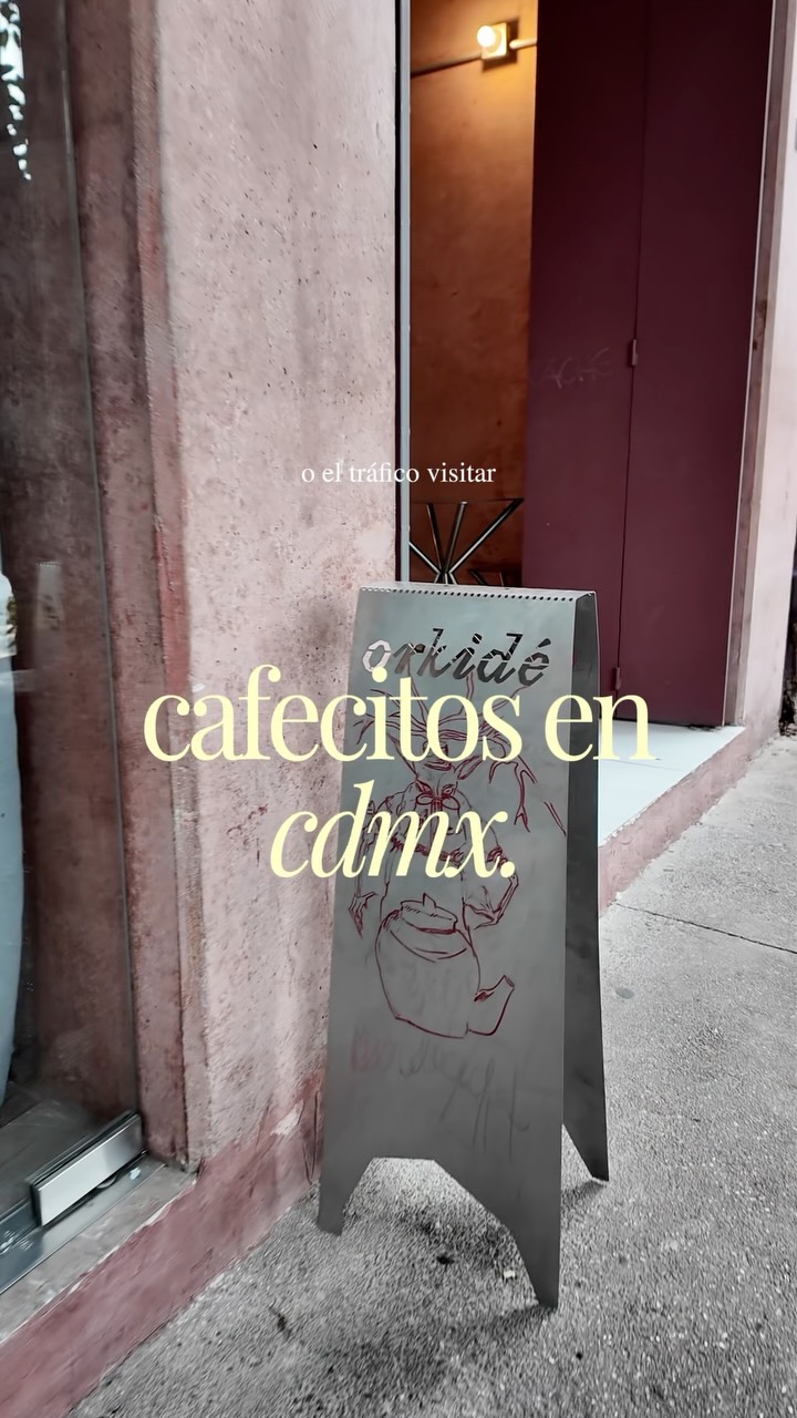 Mexico City Cafes Offer Books, Matcha, and Sweet Rolls