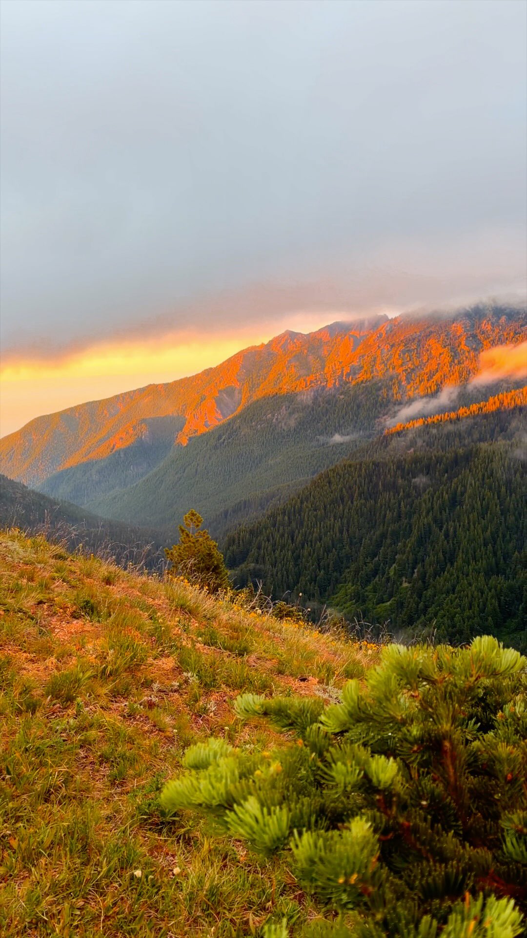 Olympic National Park: Hurricane Hill Hike