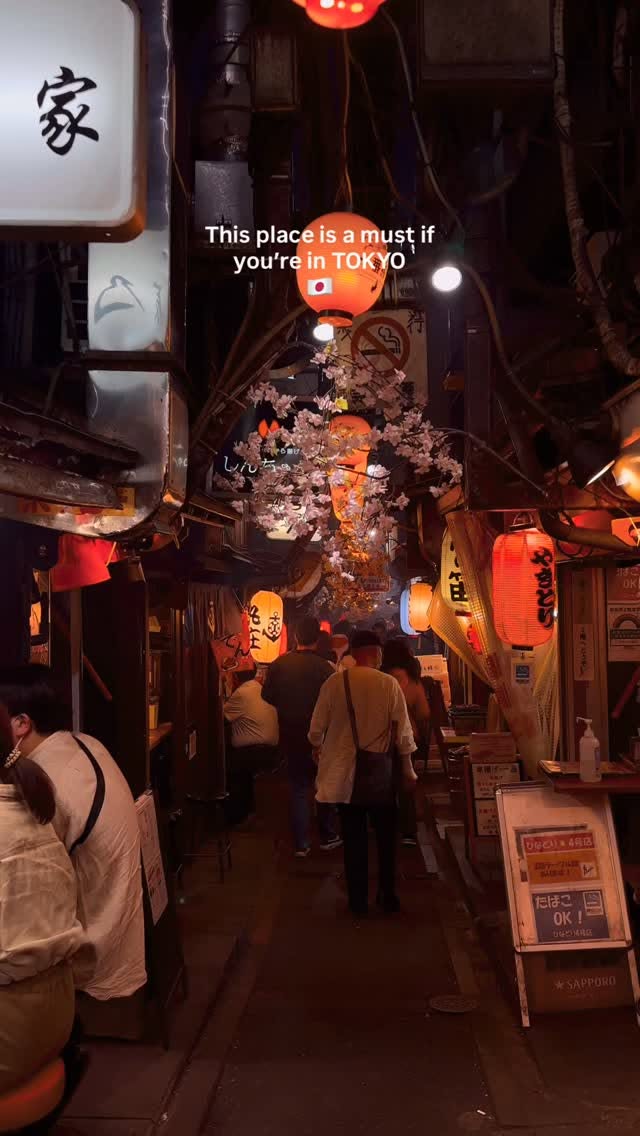 Tokyo's Omoide Yokocho Offers Authentic Experiences